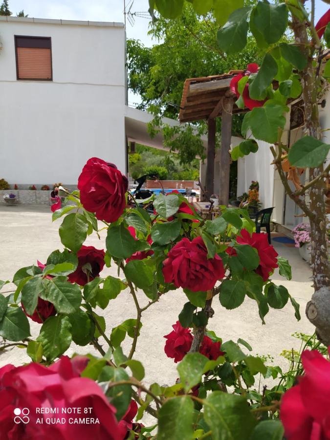 B&B Troisi Racalmuto 外观 照片